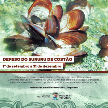 defeso-do-sururu-periodo-comeca-nesta-sexta-1-e-vai-ate-31-de-dezembro