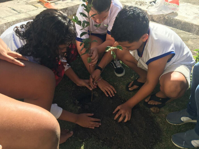 estudantes-preparam-jardim-para-abelhas-polinizarem-e-produzirem-mel