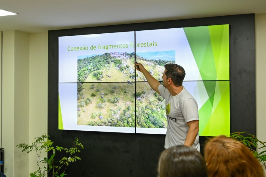 dia-da-arvore-vitoria-ganha-200-mil-mudas-de-especies-da-mata-atlantica