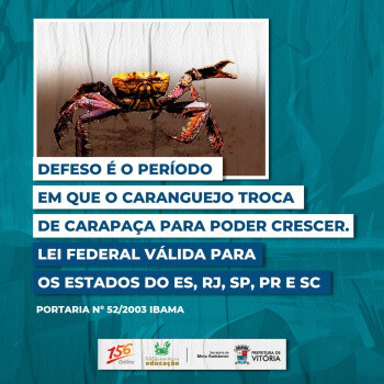 periodo-do-defeso-do-caranguejo-uca-comeca-no-domingo-1