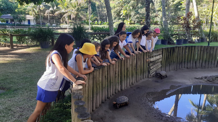 refugio-de-vida-silvestre-mata-paludosa-tem-interpretacao-ambiental