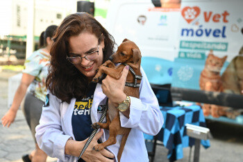 vetmovel-atende-pets-do-forte-sao-joao-fradinhos-jucutuquara-e-romao-na-quarta
