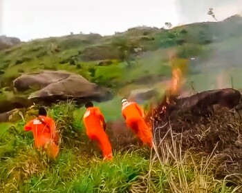 queimadas-florestais-saiba-como-ajudar