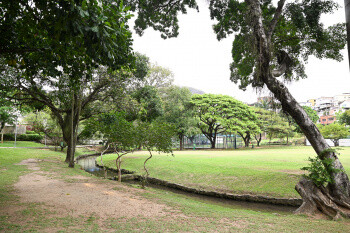 feriado-parques-de-vitoria-estarao-abertos-neste-sabado-e-domingo