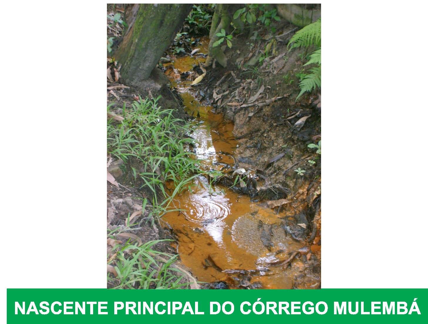Sem título-1_Página_2.jpg