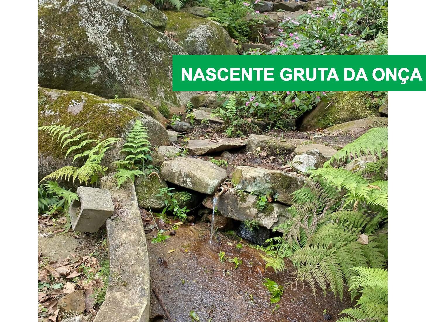 Sem título-1_Página_4.jpg