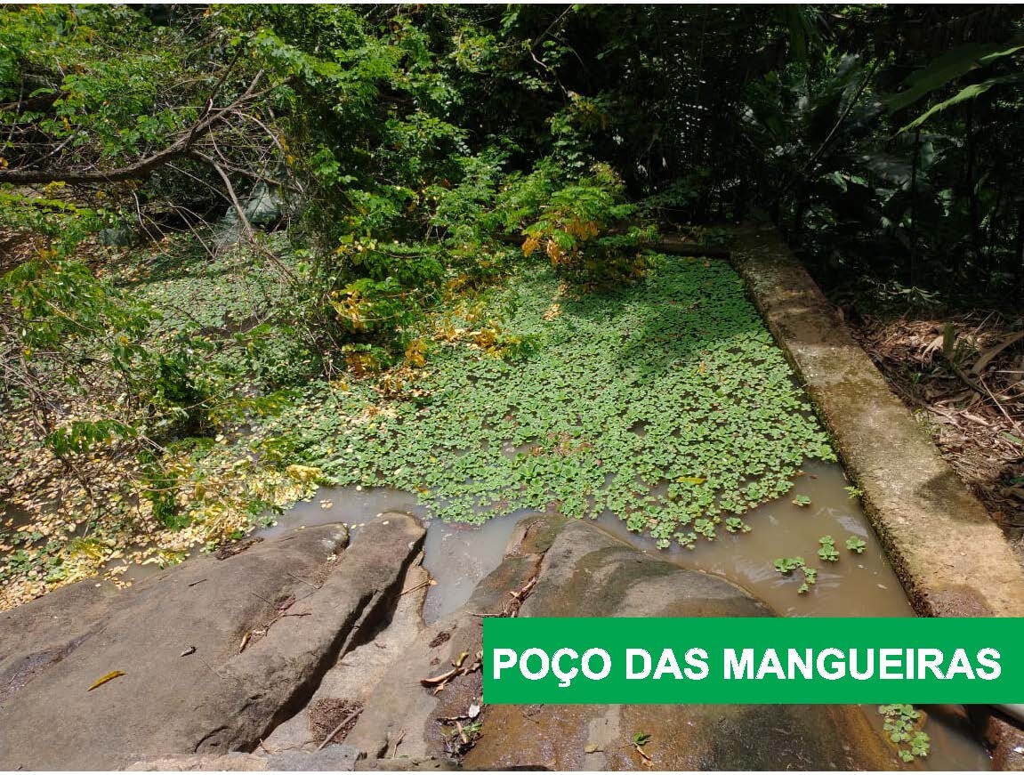 Sem título-1_Página_7.jpg
