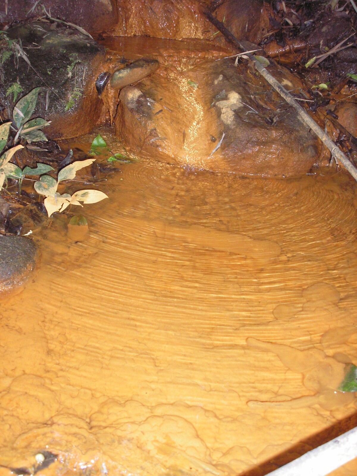 IMG-20240319-WA0043.jpg